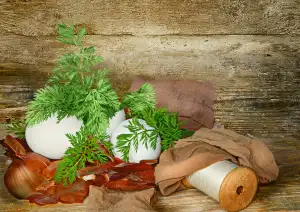 Cibulové Ponožky