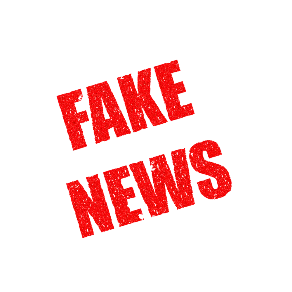 Dezinformace Význam