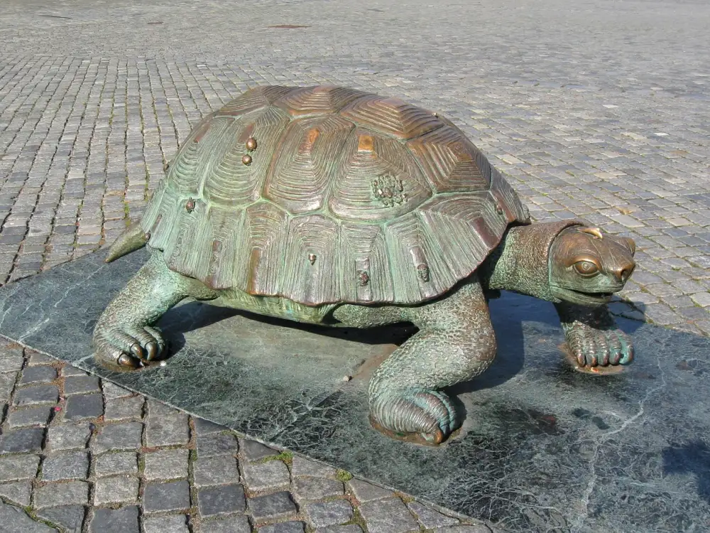 Český Rozhlas Olomouc