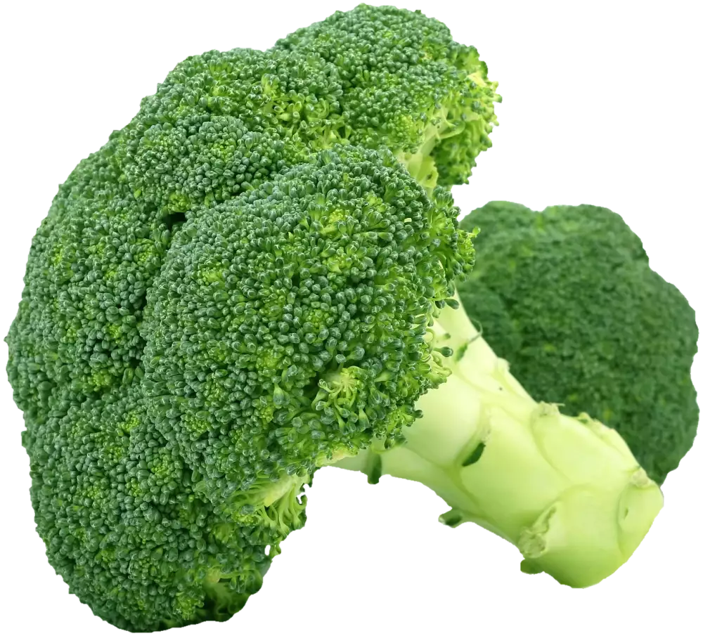 Kdy Nejíst Brokolici